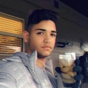 Meet your Posher, Harold